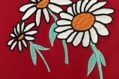 daisey (2)